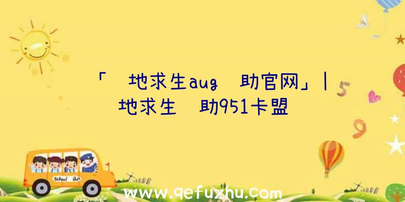 「绝地求生aug辅助官网」|绝地求生辅助951卡盟